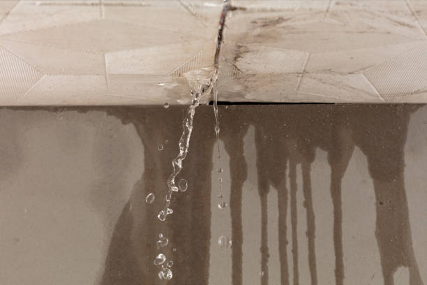 Professional Flood Damage Cleanup technician working in Islandia, NY